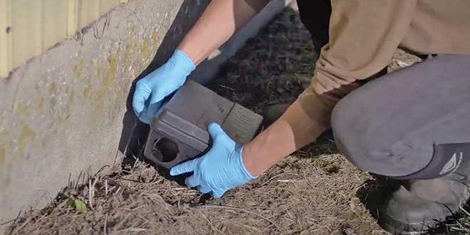 660px-1.-Screenshot-2024-02-23-at-4.06.24 pm poultry